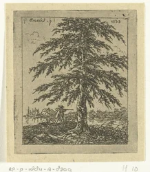 Paisagem com faia e caçador A bétula
