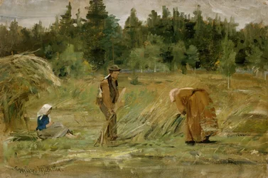 O campo do homem pobre