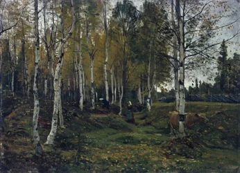 Floresta de bétula no Outono