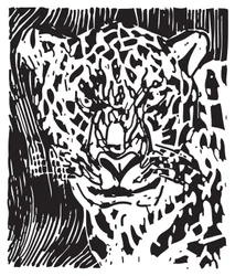 Leopardo
