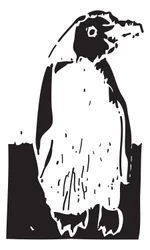 Pinguim