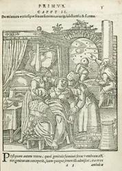 Uma mulher no trabalho, ilustração do capítulo 2, livro 1 de na concepção e crescimento do homem por Rueff, 1587
