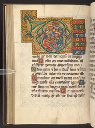 Adicionar. 60629, f.43v Grandes iniciais emolduradas em ouro e cores com ornamentos foliáceos e às vezes zoomórficos e antropomórficos (velino)