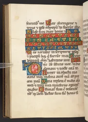Adicionar. 60629, f.90v Inicial e texto (velino)