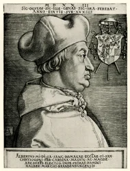 Albrecht de Brandenburgo