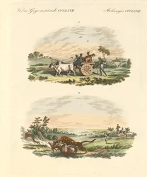 Caça aos antílopes com leopardos (gravura colorida)