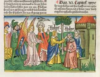 Apócrifos: Tobias restitui a visão ao seu pai Tobit com o fel de um peixe, da Bíblia de Nuremberga (Biblia Sacra Germanaica)