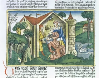 Apocrypha: Tobit é cegado por excrementos de pardais, da Bíblia de Nuremberg (Biblia Sacra Germanaica) (xilogravura colorida)