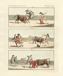 Touradas do espanhol (gravura colorida)