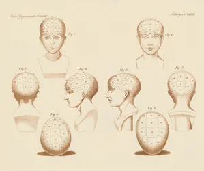 Ângulos faciais do campista (gravura colorida)