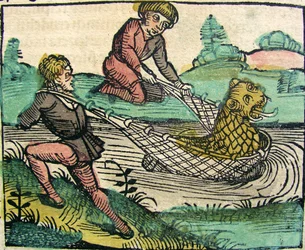 Captura de um peixe-gato-leão Publicado em Nuremberg Chronicle, 1493
