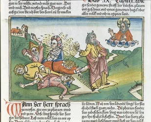 Êxodo 9, 8-12: As sete pragas do Egito - Moisés e a praga das úlceras, da Bíblia de Nuremberga (Biblia Sacra Germanica)
