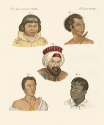 Ilustração das principais raças humanas