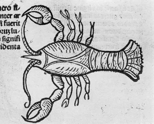 Le Cancer - in Treatise by Johannes Angeli De Magnisconnectionibue annorum revolutionibus ac eorum pefectionibus. Augsburg, Erhard Ratdolt