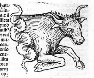 Le Taurus - em Tratado por Johannes Angeli De Magnisconnectionibue annorum revolutionibus ac eorum pefectionibus. Augsburg, Erhard Ratdolt