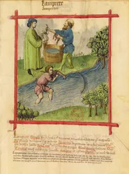 Ms Lat 9333 f.82 Pesca de enguias, de Tacuinum Sanitatis