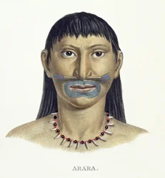 Homem nativo da tribo Arara com pintura de rosto azul, de Atlas of a Journey in Brazil de Johann Baptist von Spix (1781-1826) e Karl Friedrich Philipp Martius (1794-1868), publicado em 1835-50 (cor