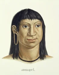 Homem nativo da tribo Aroaqui, de Atlas de uma viagem no Brasil por Johann Baptist von Spix (1781-1826) e Karl Friedrich Philipp Martius (1794-1868), publicado em 1835-50