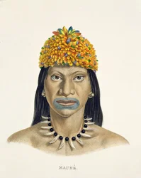 Homem nativo da tribo Mauhe, com cocar de pequenas penas azuis e laranjas, de Atlas of a Journey in Brazil de Johann Baptist von Spix (1781-1826) e Karl Friedrich Philipp Martius (1794-1868)