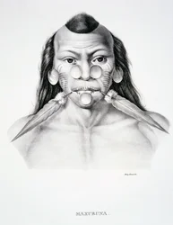 Homem nativo da tribo Maxuruna, com decoração facial, da Atlas of a Journey in Brazil de Dr von Spix e Dr von Martius