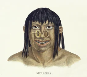 Homem nativo da tribo Miranha, com decoração do nariz, de Atlas de uma viagem no Brasil por Johann Baptist von Spix (1781-1826) e Karl Friedrich Philipp Martius (1794-1868), publicado em 1835-50 (col