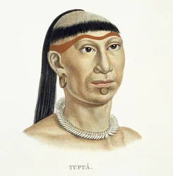 Homem nativo da tribo Yupua, de cabelos arrancados e raspados, e colar de dentes de animais, da Atlas of a Journey in Brazil de Johann Baptist von Spix (1781-1826) e Karl Friedrich Philipp Mar
