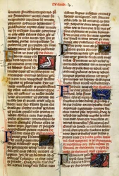 Página do De Natura Rerum sobre aves, de Albertus Magnus (cerca de 1200-1280)