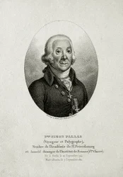 Peter Simon Pallas. (1741 - 1811) (Gravação em linha)