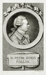 Peter Simon Pallas. (1741 - 1811) (Gravação em linha)