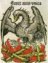 Phoenix publicou no Nuremberg Chronicle, 1493