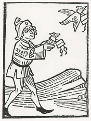Columbofilia