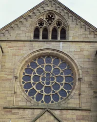 Rosácea, 1249