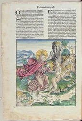 O nascimento de Eva, de &39;Liber Chronicarum&39; por Hartmann Schedel (1440-1514) 1493 (cor xilogravura)