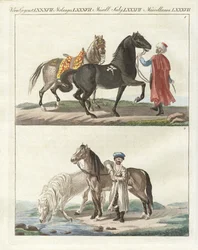 O cavalo com os seus diferentes tipos (gravura colorida)