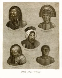 O humano (gravura colorida)