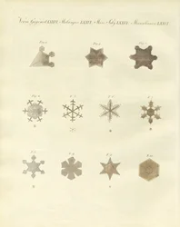 A neve com as suas cristalizações (gravura colorida)