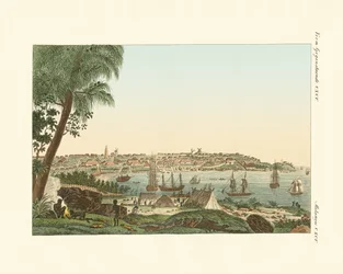 Vistas da cidade de Sydney (gravura colorida)