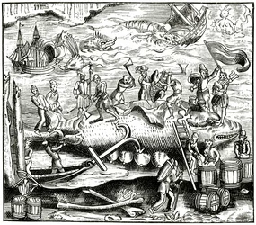 Baleia-pesca, depois de uma xilogravura na Cosmographie Universelle de Munster, publicou 1552