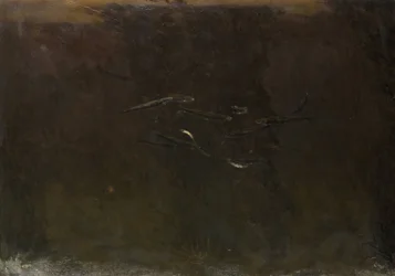 Peixes num aquário
