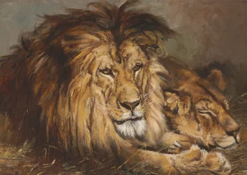 Esboço para "Leão e Leoa em repouso", 1899