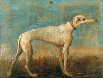O galgo italiano, c. 1793.