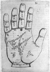 Chiromancia e predição divinatória: representação das diferentes linhas da mão permitindo a interpretação do personalite. Gravura de "De magia" de Giambattista della Porta (1537? -1615) 1589