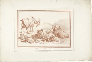 Ovelhas com cordeiros e cabras com crias