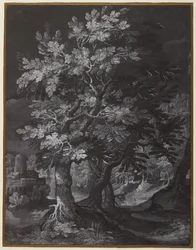 Cena de floresta