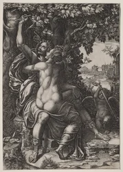 Angélica e Medoro