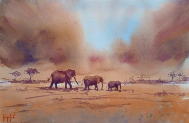 Viagem de um elefante africano