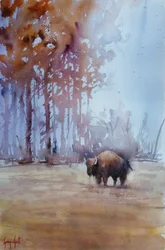 Bisonte na névoa do outono