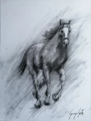 Cavalo Dinâmico em Carvão