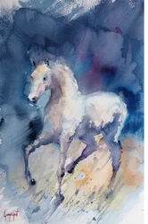 O elegante cavalo branco