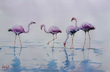 Flamingos-rosados a caminhar na água